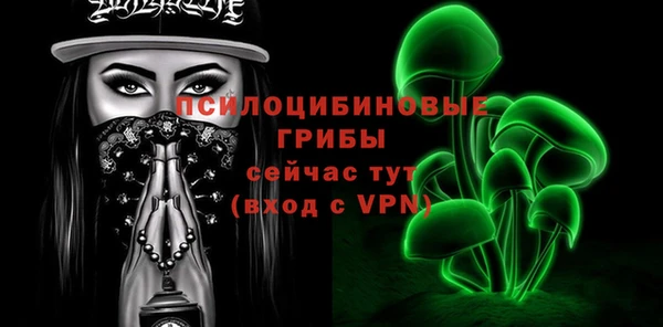 эйфоретик Кинешма