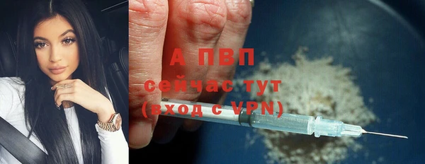 эйфоретик Кинешма