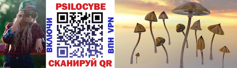 продажа наркотиков  Называевск  Галлюциногенные грибы Cubensis 